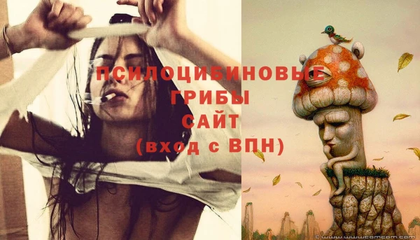 спиды Белокуриха