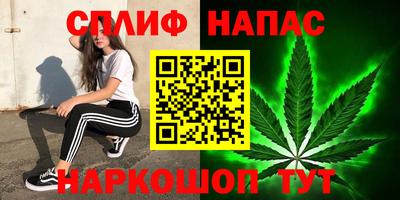 мдпв Можга
