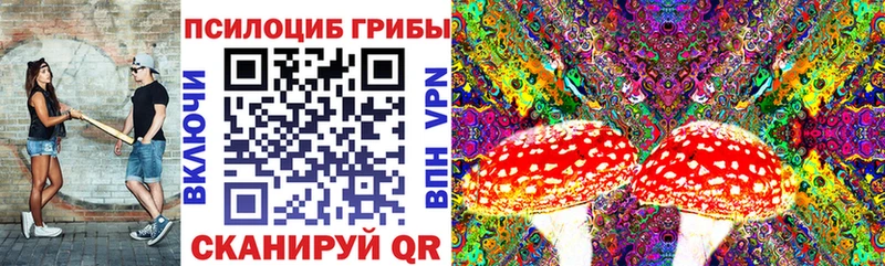 мориарти формула  Гулькевичи  Псилоцибиновые грибы Cubensis 