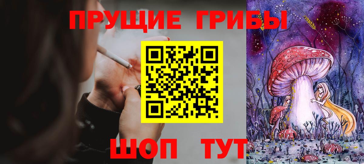 Гулькевичи  Псилоцибиновые грибы мухоморы  даркнет сайт  Вход с VPN 