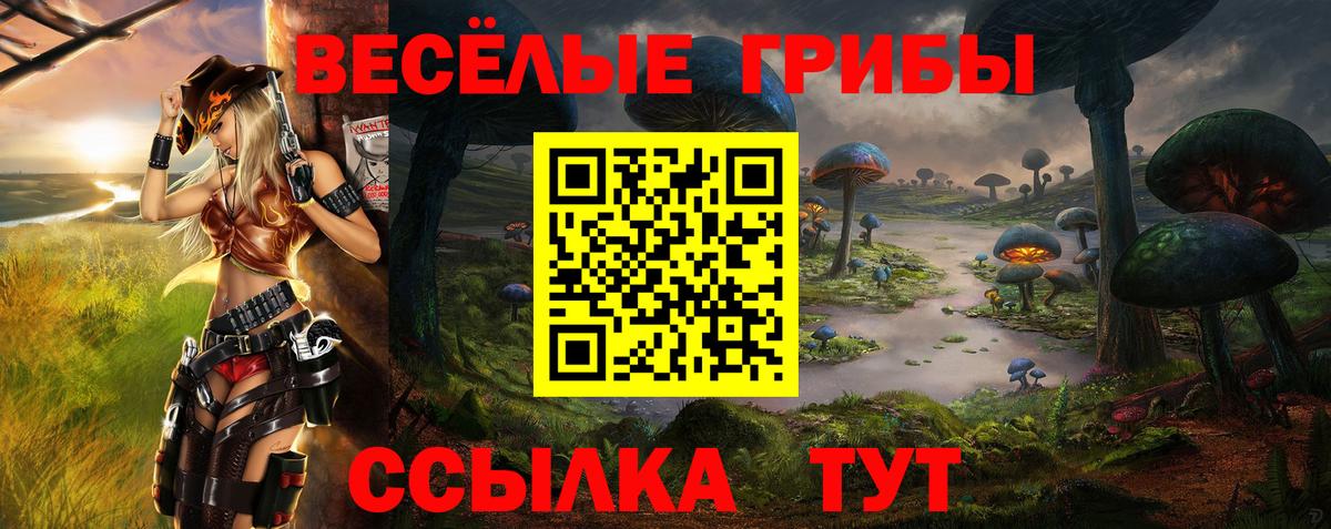 Галлюциногенные грибы MAGIC MUSHROOMS Гулькевичи